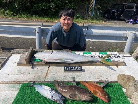 ����餵������