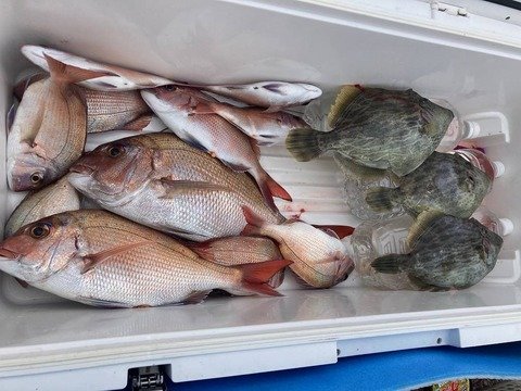����餵������