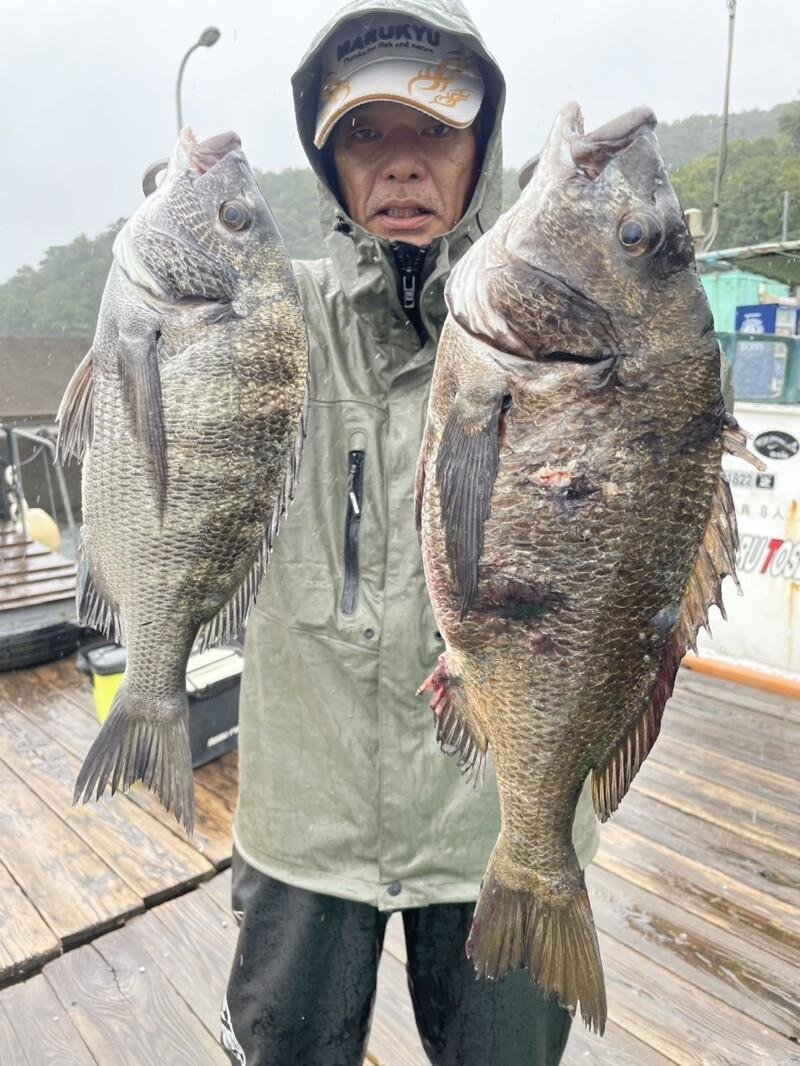 ϻ������