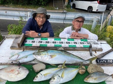 ����餵������