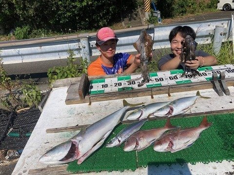 ����餵������